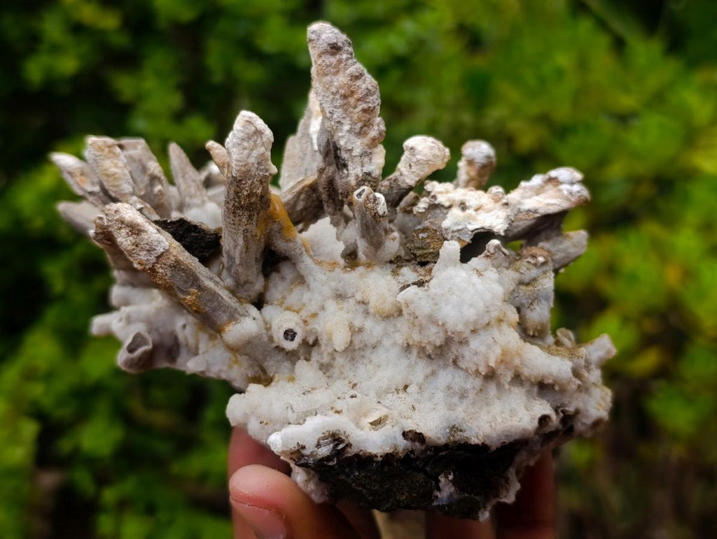 Natural Rare and Classic Lesotho Drusy Coated Spearhead Sceptre Calcite Specimen x 1 From Albert's Mountain, Lesotho