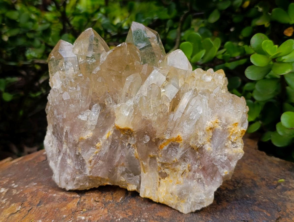 Natural Large Luena Pale Yellow Citrine Cascading Cluster x 1 From Luena, Congo