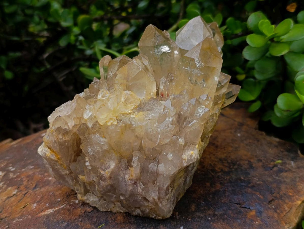 Natural Large Luena Pale Yellow Citrine Cascading Cluster x 1 From Luena, Congo