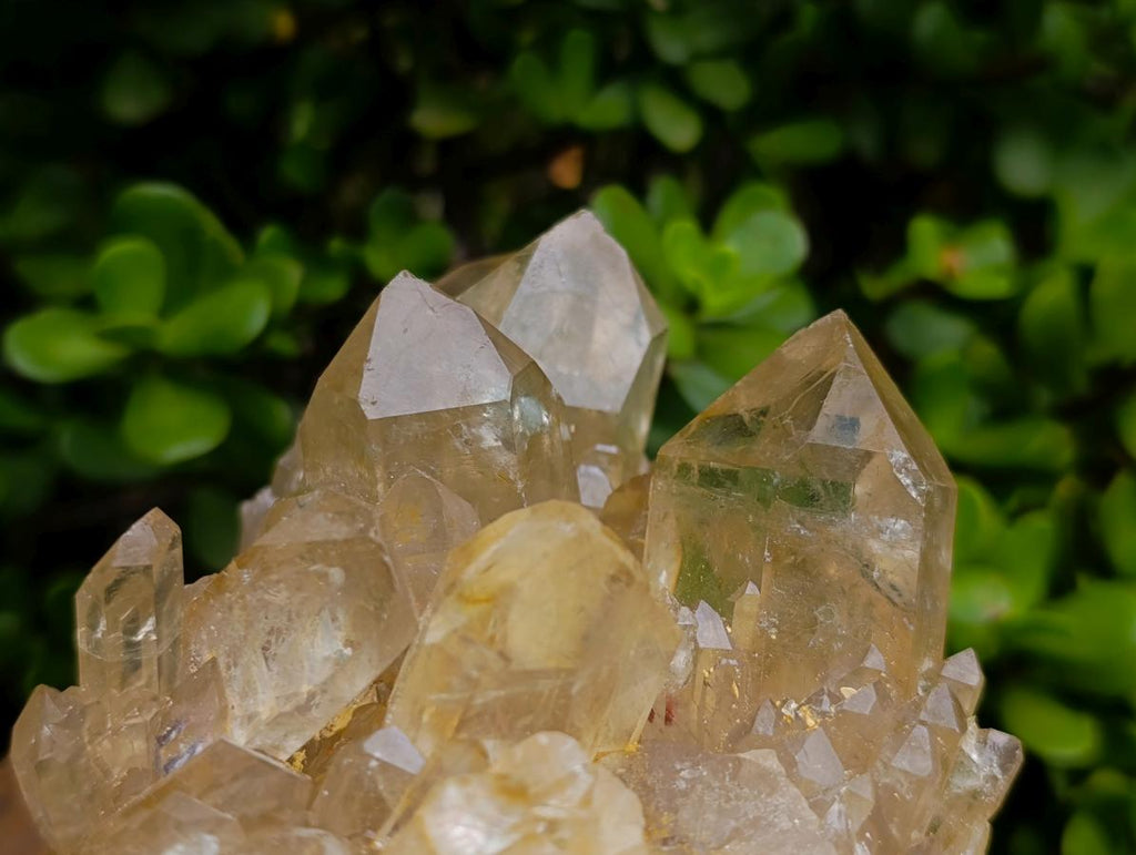 Natural Large Luena Pale Yellow Citrine Cascading Cluster x 1 From Luena, Congo