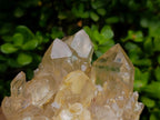 Natural Large Luena Pale Yellow Citrine Cascading Cluster x 1 From Luena, Congo