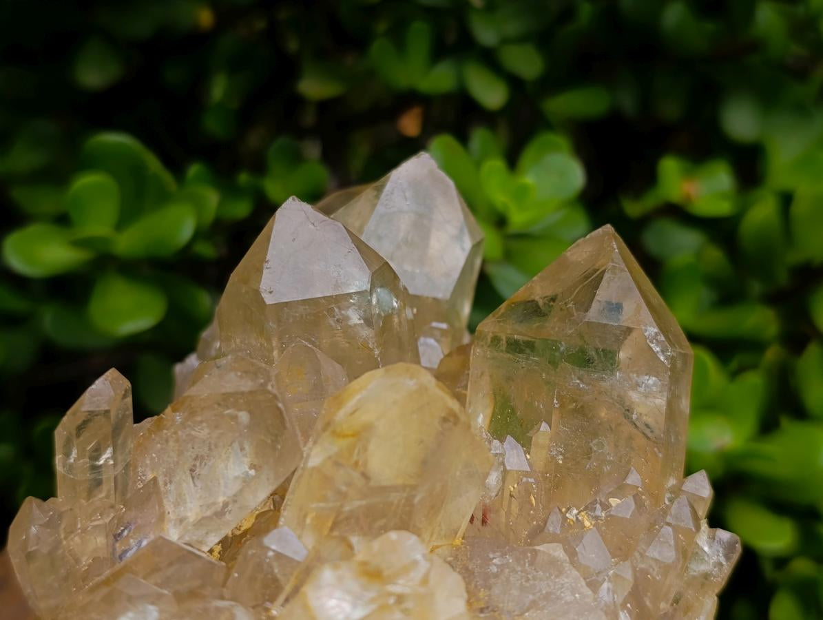 Natural Large Luena Pale Yellow Citrine Cascading Cluster x 1 From Luena, Congo