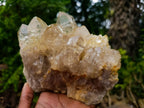 Natural Large Luena Pale Yellow Citrine Cascading Cluster x 1 From Luena, Congo
