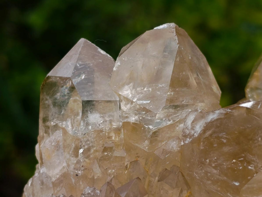 Natural Large Luena Pale Yellow Citrine Cascading Cluster x 1 From Luena, Congo
