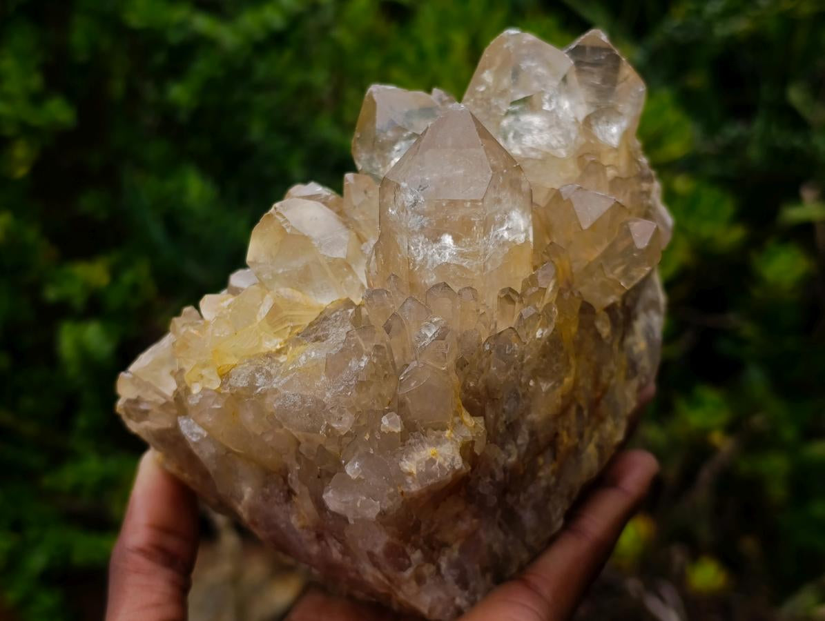 Natural Large Luena Pale Yellow Citrine Cascading Cluster x 1 From Luena, Congo