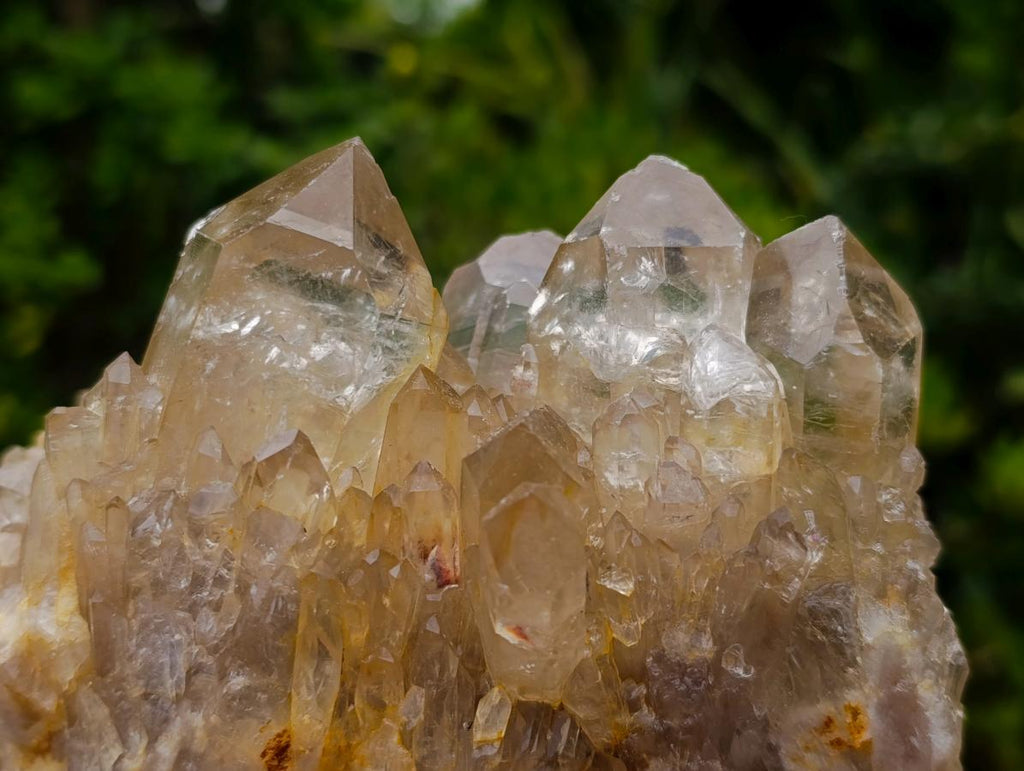 Natural Large Luena Pale Yellow Citrine Cascading Cluster x 1 From Luena, Congo
