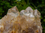 Natural Large Luena Pale Yellow Citrine Cascading Cluster x 1 From Luena, Congo