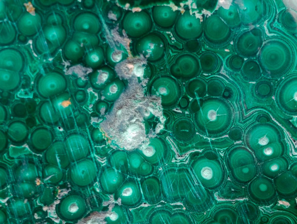 Polished Concentric Ring Patterned Malachite Display Free Form x 1 From Kolwezi, Congo