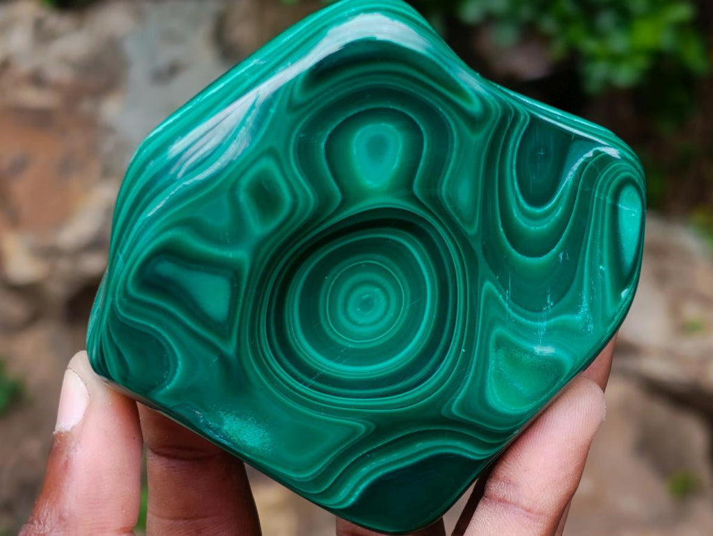 Polished Concentric Ring Patterned Malachite Display Free Form x 1 From Kolwezi, Congo