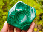 Polished Concentric Ring Patterned Malachite Display Free Form x 1 From Kolwezi, Congo