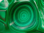 Polished Concentric Ring Patterned Malachite Display Free Form x 1 From Kolwezi, Congo
