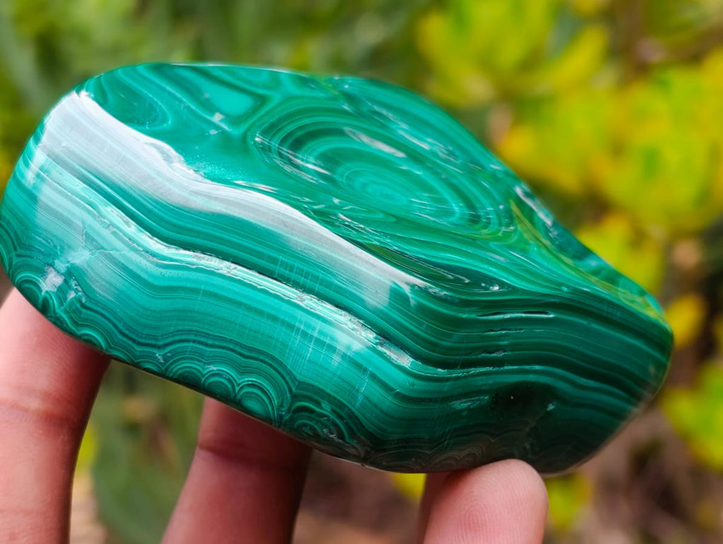 Polished Concentric Ring Patterned Malachite Display Free Form x 1 From Kolwezi, Congo