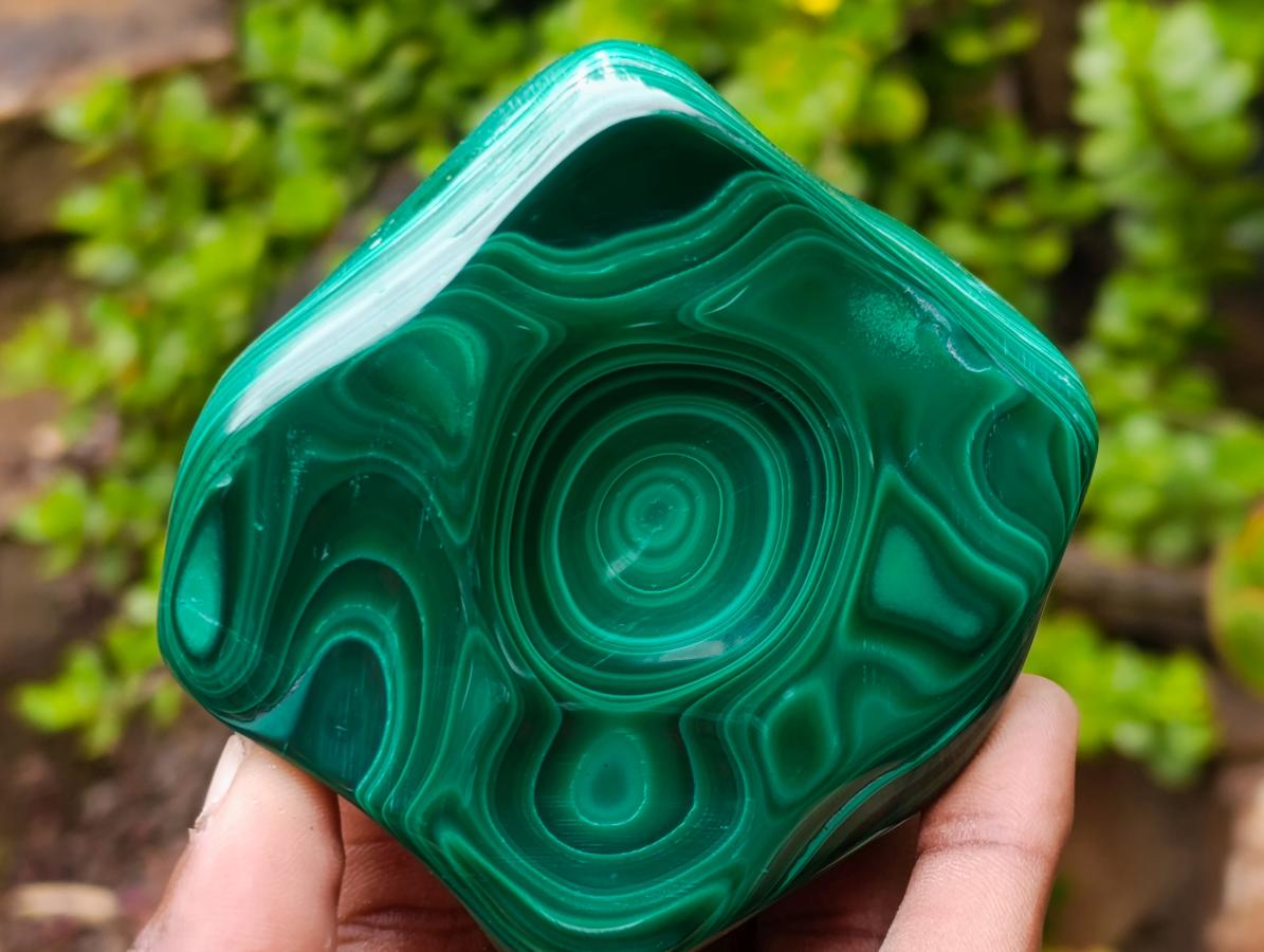 Polished Concentric Ring Patterned Malachite Display Free Form x 1 From Kolwezi, Congo