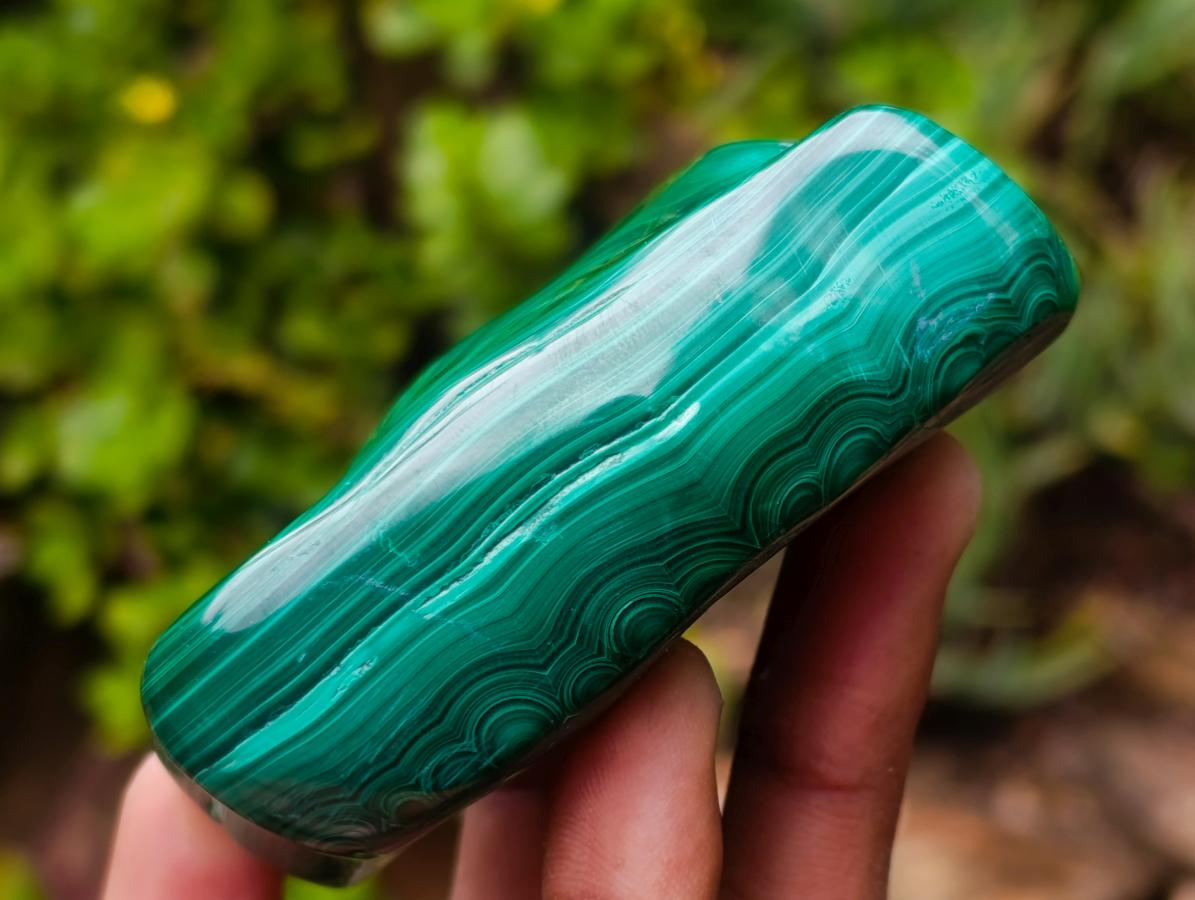 Polished Concentric Ring Patterned Malachite Display Free Form x 1 From Kolwezi, Congo
