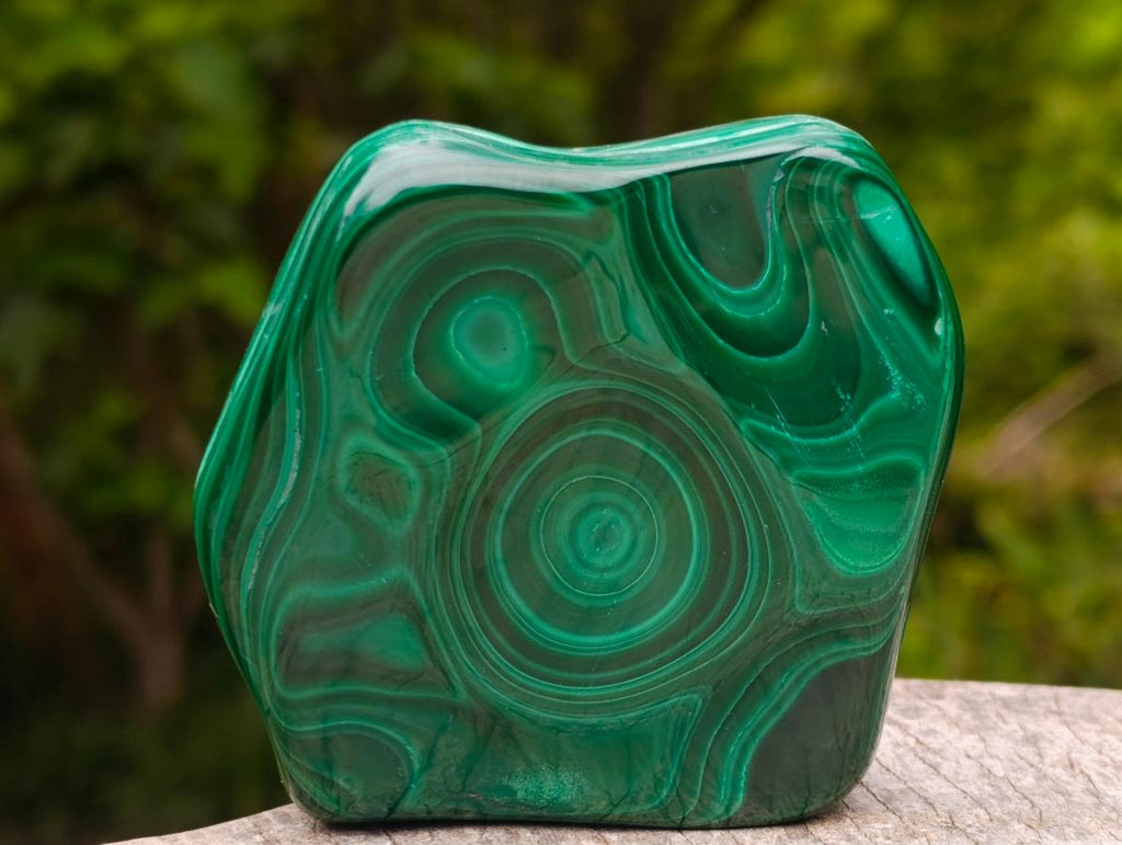Polished Concentric Ring Patterned Malachite Display Free Form x 1 From Kolwezi, Congo