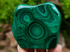 Polished Concentric Ring Patterned Malachite Display Free Form x 1 From Kolwezi, Congo