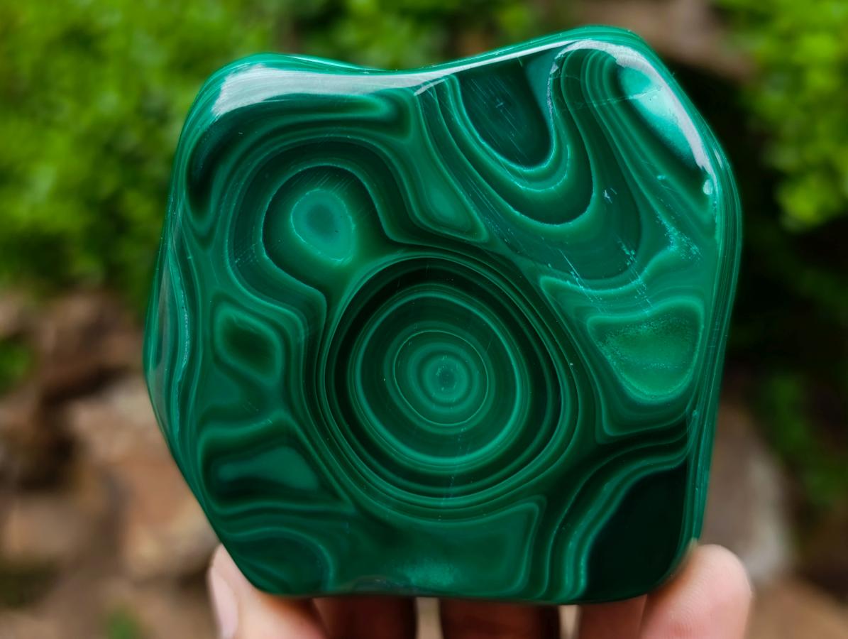 Polished Concentric Ring Patterned Malachite Display Free Form x 1 From Kolwezi, Congo