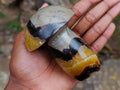 Polished Large Septerye Mushroom Sculpture x 1 From Mahajanga, Madagascar