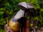 Polished Large Septerye Mushroom Sculpture x 1 From Mahajanga, Madagascar
