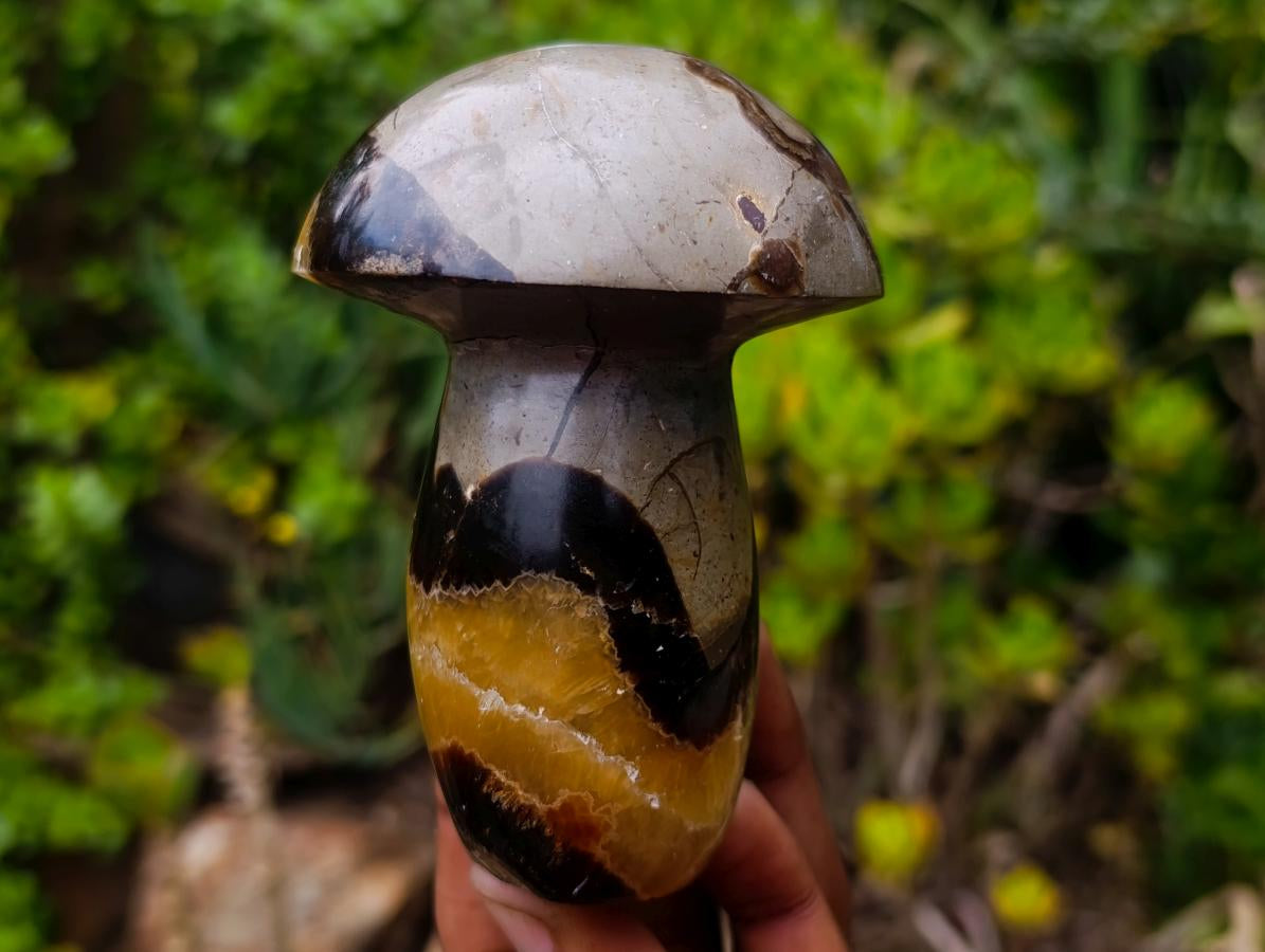 Polished Large Septerye Mushroom Sculpture x 1 From Mahajanga, Madagascar