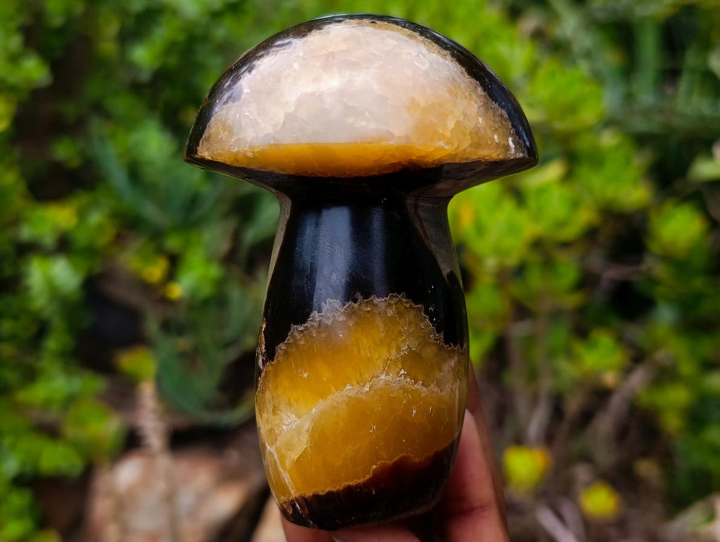 Polished Large Septerye Mushroom Sculpture x 1 From Mahajanga, Madagascar