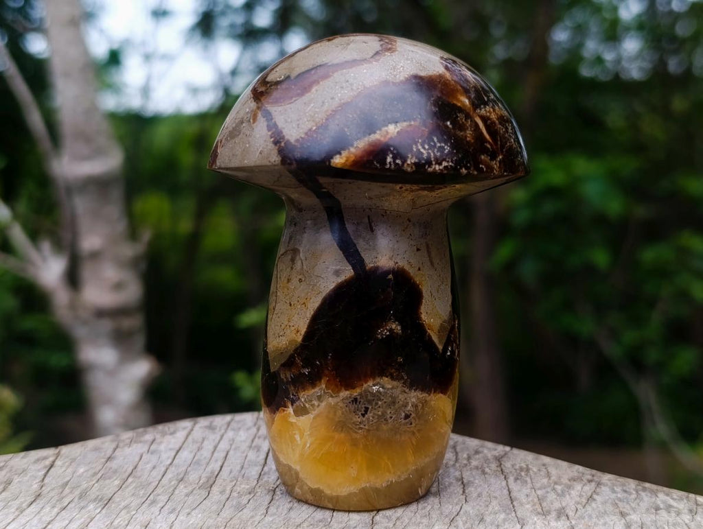 Polished Large Septerye Mushroom Sculpture x 1 From Mahajanga, Madagascar