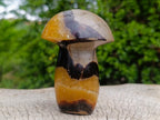 Polished Large Septerye Mushroom Sculpture x 1 From Mahajanga, Madagascar