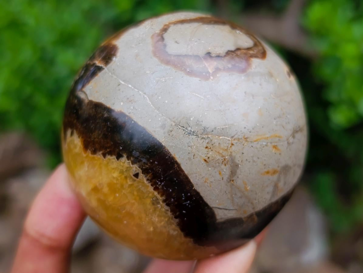 Polished Large Septerye Mushroom Sculpture x 1 From Mahajanga, Madagascar