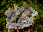Natural Multi Directional Erongo Mountain Smokey Quartz Cluster with Foitite, Fluorite and Hyalite x 1 From Erongo, Namibia