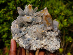 Natural Multi Directional Erongo Mountain Smokey Quartz Cluster with Foitite, Fluorite and Hyalite x 1 From Erongo, Namibia