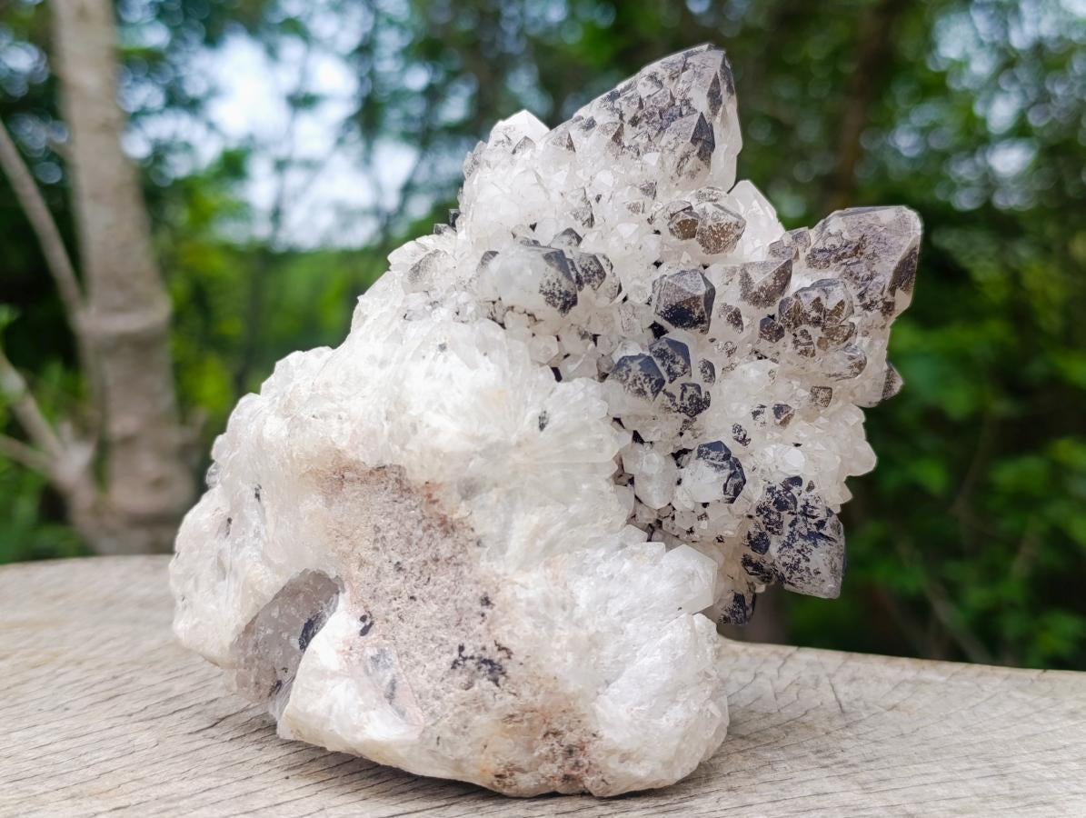 Natural Groovy Spikey Black Tipped Madagascar Candle Quartz Crystal Cluster x 1 From Antsirabe, Madagascar