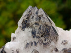 Natural Groovy Spikey Black Tipped Madagascar Candle Quartz Crystal Cluster x 1 From Antsirabe, Madagascar