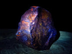Polished One Side Dadoxylon Petrified Wood Branch Section x 1 From Gokwe, Zimbabwe