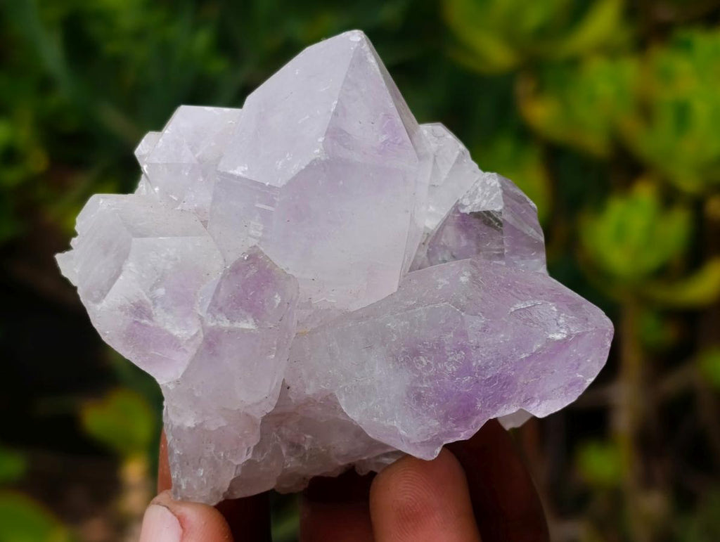 Polished and Natural Mixed Set of 12 African Minerals Crystals Fossils and Gemstones x 1 From Southern Africa