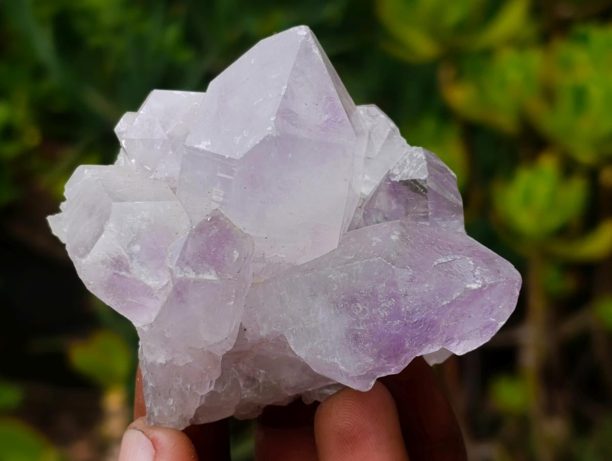 Polished and Natural Mixed Set of 12 African Minerals Crystals Fossils and Gemstones x 1 From Southern Africa