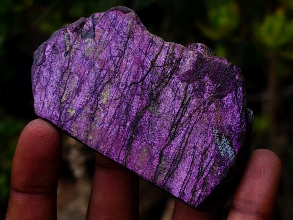 Polished and Natural Mixed Set of 12 African Minerals Crystals Fossils and Gemstones x 1 From Southern Africa