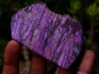 Polished and Natural Mixed Set of 12 African Minerals Crystals Fossils and Gemstones x 1 From Southern Africa