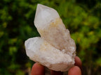 Polished and Natural Mixed Set of 12 African Minerals Crystals Fossils and Gemstones x 1 From Southern Africa