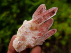 Polished and Natural Mixed Set of 12 African Minerals Crystals Fossils and Gemstones x 1 From Southern Africa