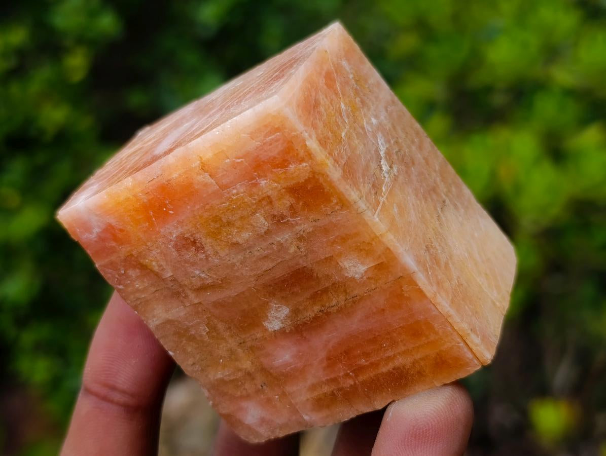 Polished and Natural Mixed Set of 12 African Minerals Crystals Fossils and Gemstones x 1 From Southern Africa