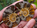 Polished and Natural Mixed Set of 12 African Minerals Crystals Fossils and Gemstones x 1 From Southern Africa