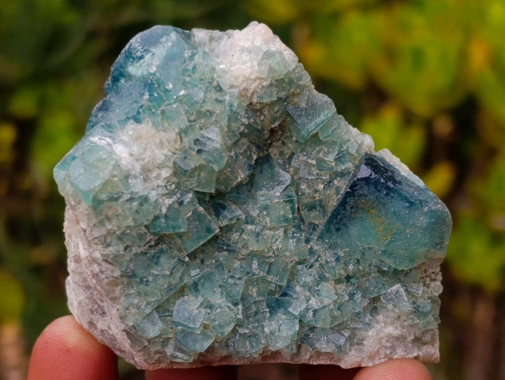 Polished and Natural Mixed Set of 12 African Minerals Crystals Fossils and Gemstones x 1 From Southern Africa