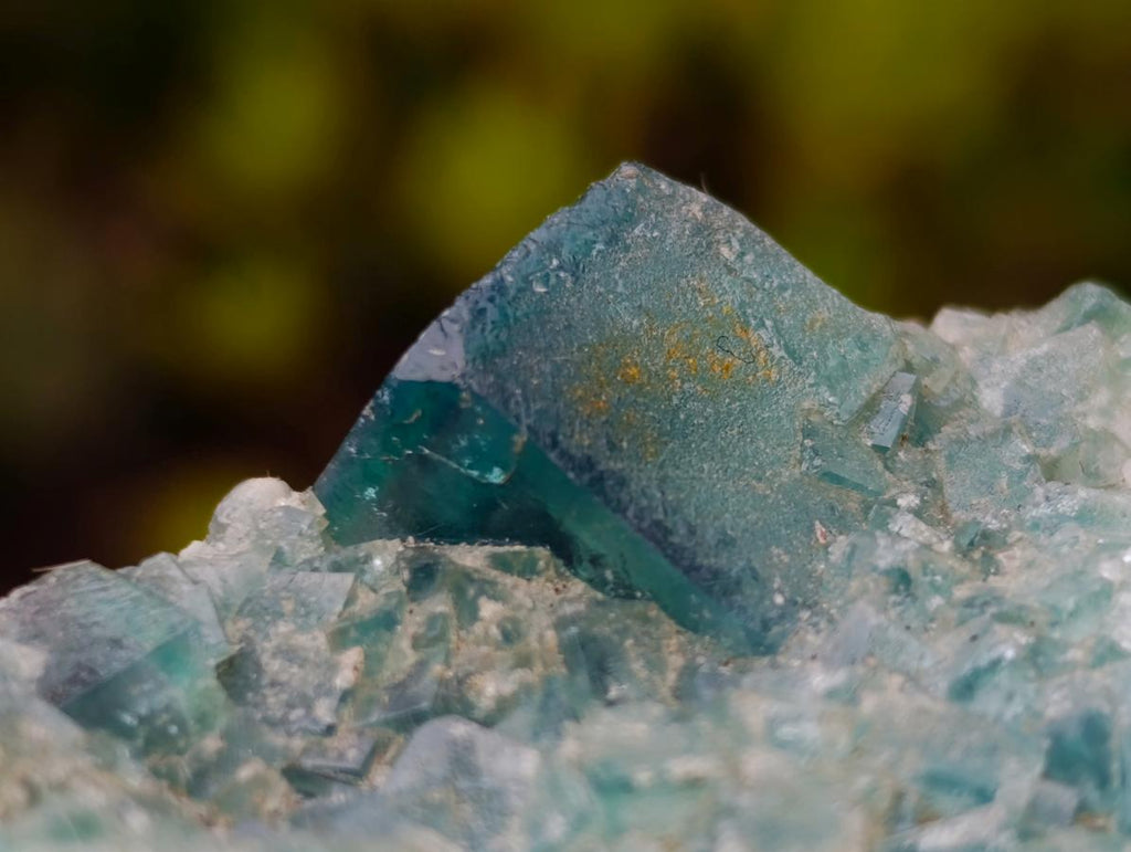 Polished and Natural Mixed Set of 12 African Minerals Crystals Fossils and Gemstones x 1 From Southern Africa