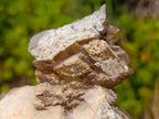 Natural Highly Fluorescent Stacked Lesotho Calcite Rhombohedral Crystal Cluster x 1 From Albert's Mountain, Lesotho
