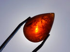 Polished Bright Orange Spessartite Garnet Pear Cut Cabochon x 1 From Sperrgebiet, Namibia