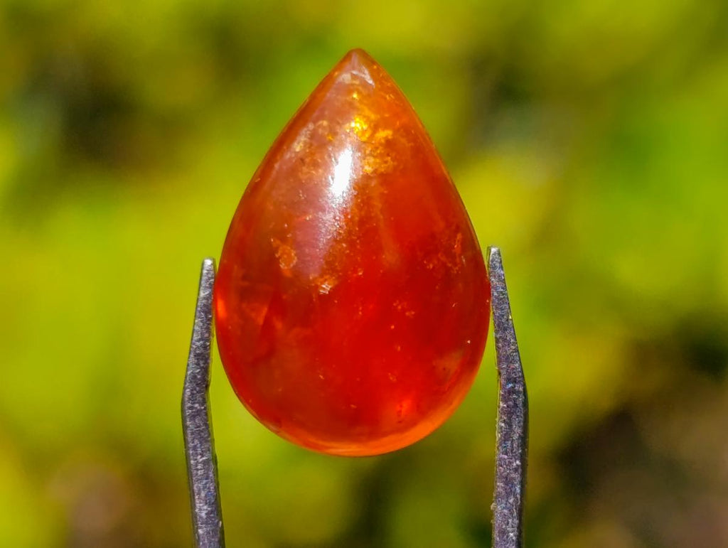 Polished Bright Orange Spessartite Garnet Pear Cut Cabochon x 1 From Sperrgebiet, Namibia