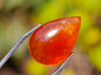 Polished Bright Orange Spessartite Garnet Pear Cut Cabochon x 1 From Sperrgebiet, Namibia