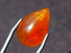 Polished Bright Orange Spessartite Garnet Pear Cut Cabochon x 1 From Sperrgebiet, Namibia