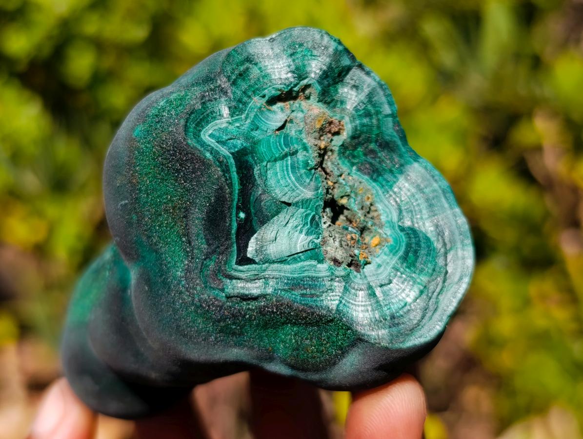 Natural Gorgeous Velvet Malachite Stalagmite Specimen x 1 From Kasompe, Congo