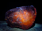 Polished One Side Classic Dadoxylon Petrified Wood Branch Segment x 1 From Gokwe, Zimbabwe